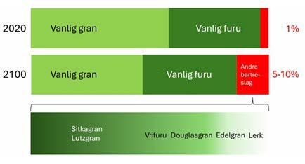 Forholdet mellom
bartreslag som
industritreslag i
Norge i 2020, og et
mulig scenario for
utviklingen fram til
2100, hvor mulige
framtidige
industritreslag er vist.
(Kilde: Landbruksdirektoratet)
