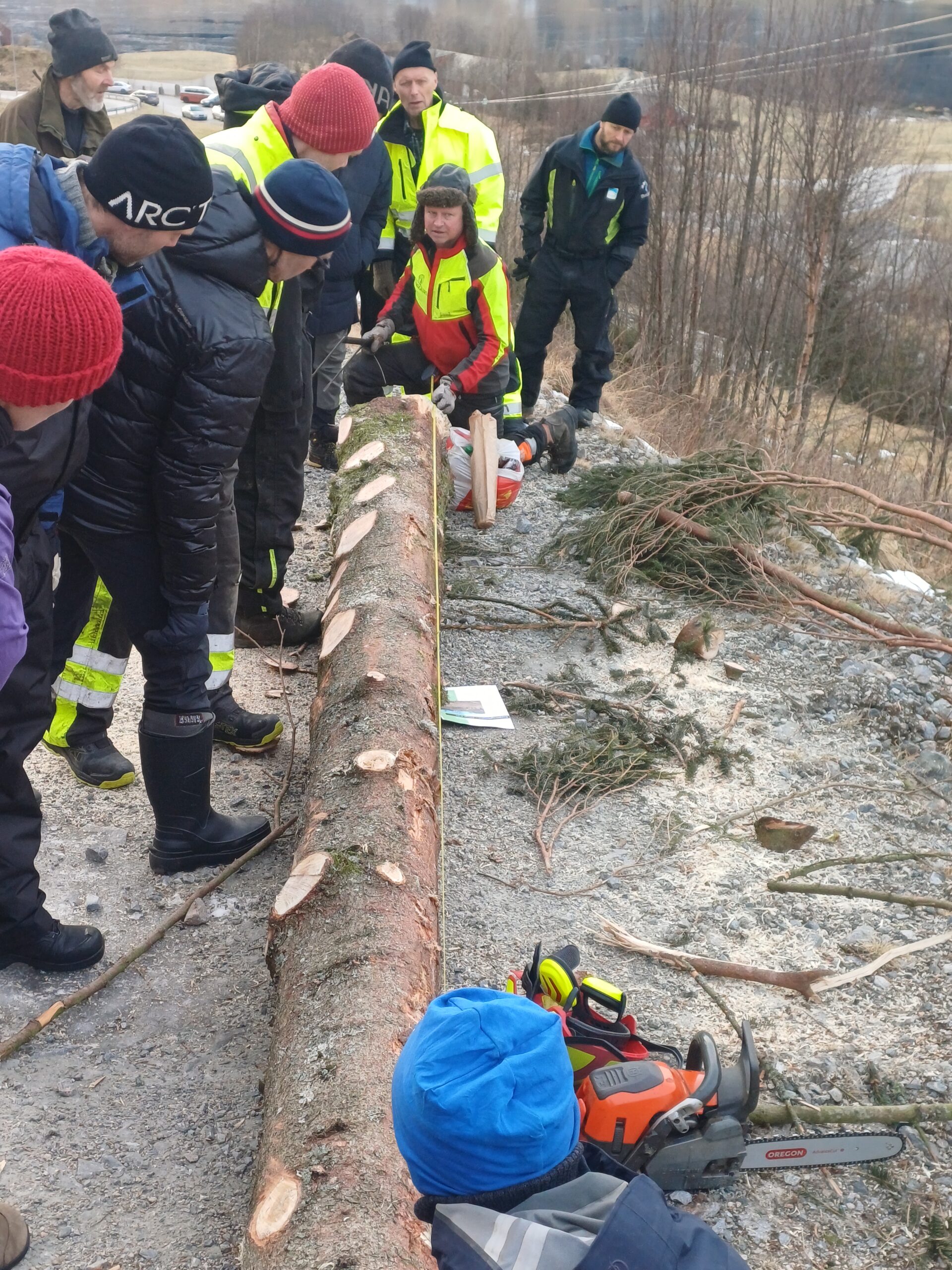 Kurs og skogkveldar hausten 2026